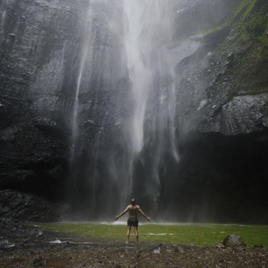 and the jungles of Java